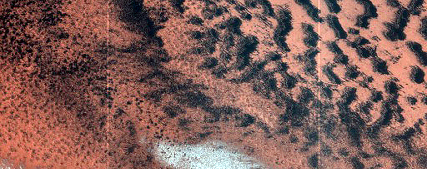 Barchan Dunes in North Polar Layered Deposits