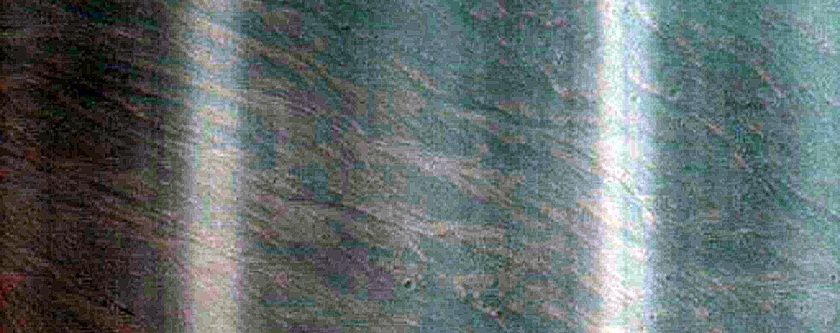 Frost Monitoring in Rimless Crater with Gullies