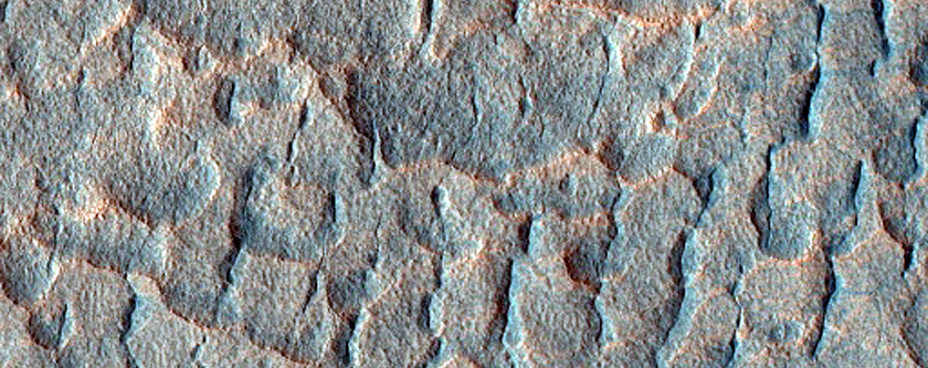 Scallop-Hosting Mantle in Utopia Planitia