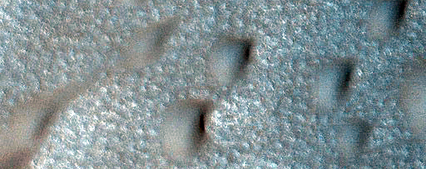 Dunes Dubbed Windy City