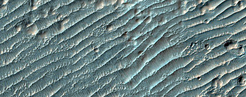 Ridged Surface