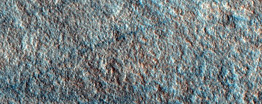 Dust Devil Tracks in Arcadia Planitia