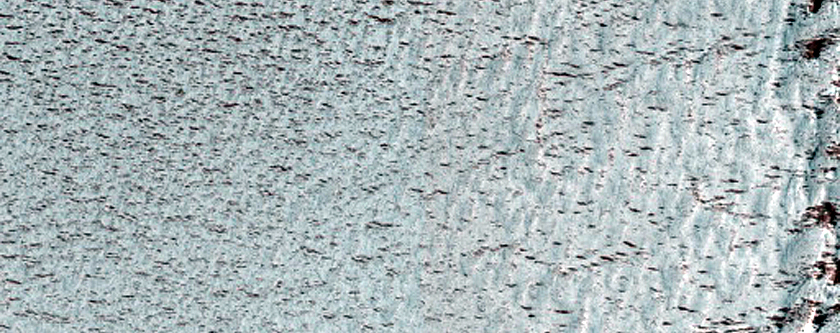 Fringe of Perennial Ice