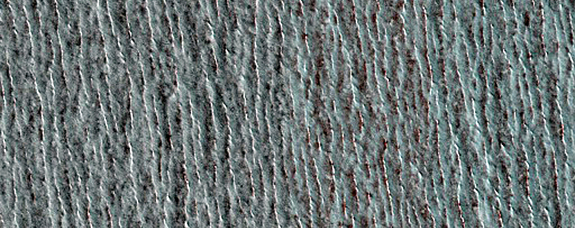 North Polar Residual Cap Monitoring