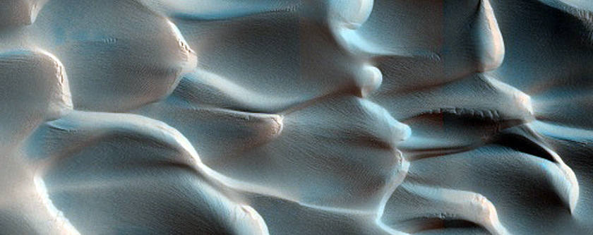 Olympia Cavi Escarpment Dune Field Seasonal Monitoring