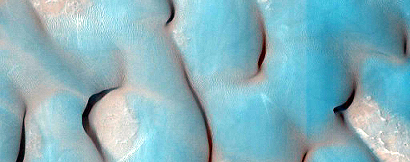 Wind Streak and Intra-Crater Dune Monitoring