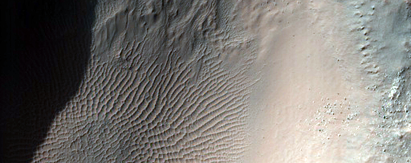Small Gullies North of Eridania Basin