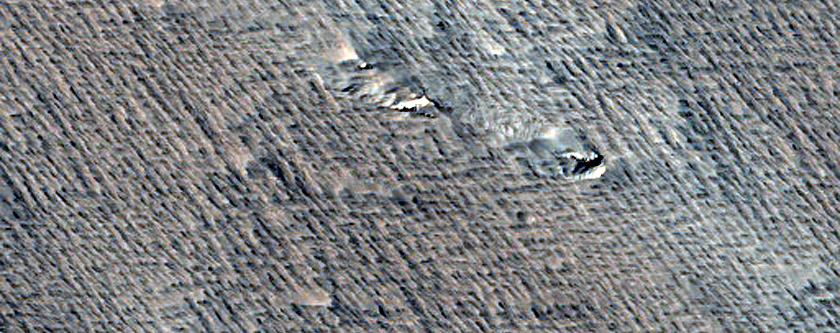 Candidate Recent Impact Site