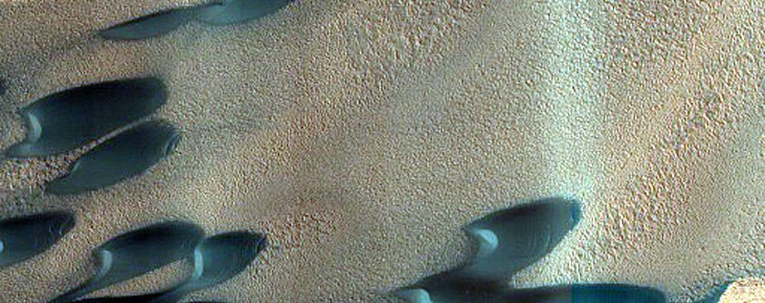 North Polar Residual Ice and Defrosting Dunes