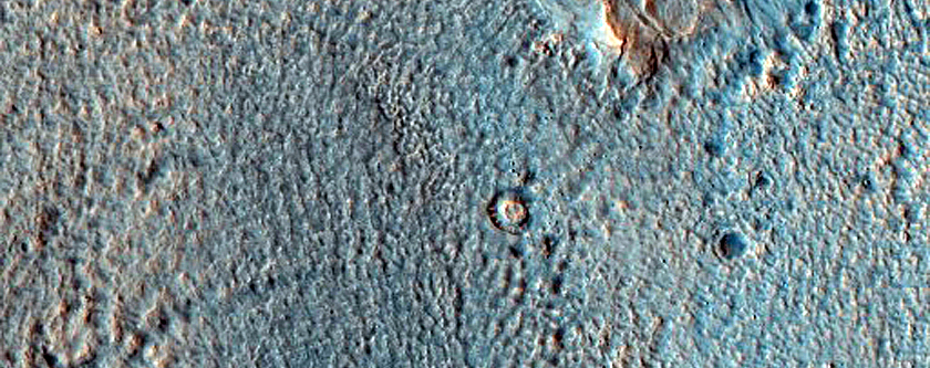 Neighboring Gullies with Superposition Relationships