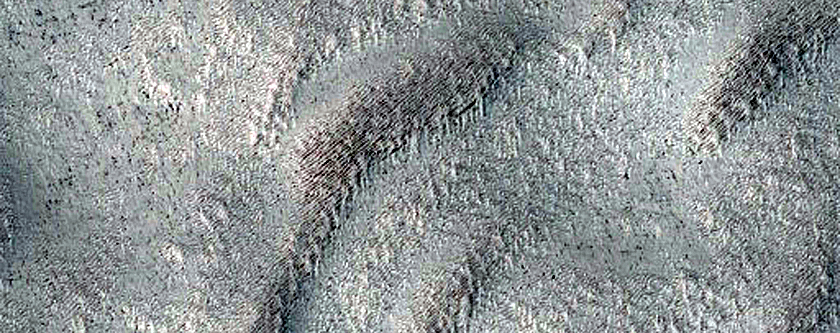 Olympia Undae Dune-Ice Survey