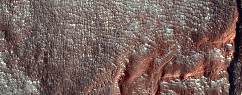 Gully Frost Monitoring