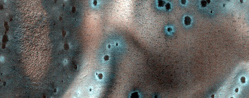 Low-Latitude Dunes with Seasonal Spots