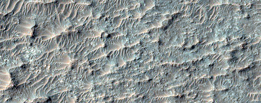 Olivine-Rich Plains in Tyrrhena Terra