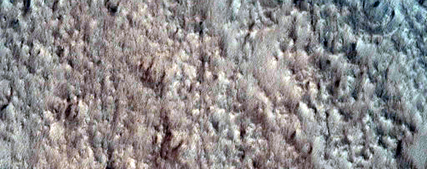 Dune Monitoring in Lyot Crater