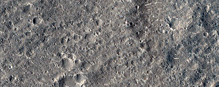 Positive Relief Feature in Nepenthes Planum