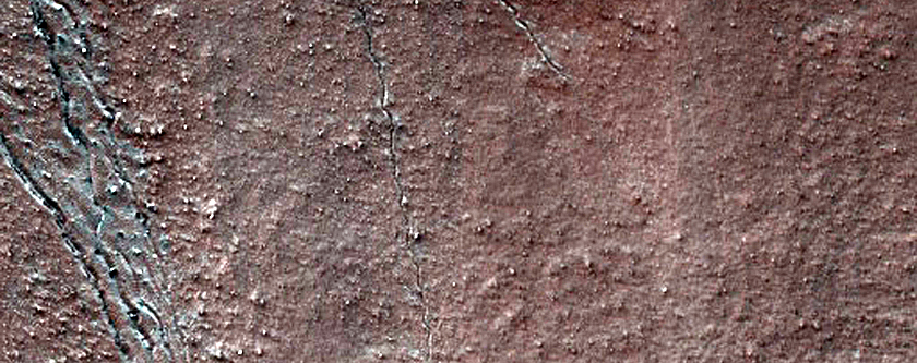 Monitoring Linear Gully Defrosting near Chalcoporos Rupes