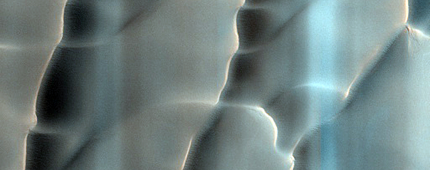 Dunes Dubbed Cool Fans