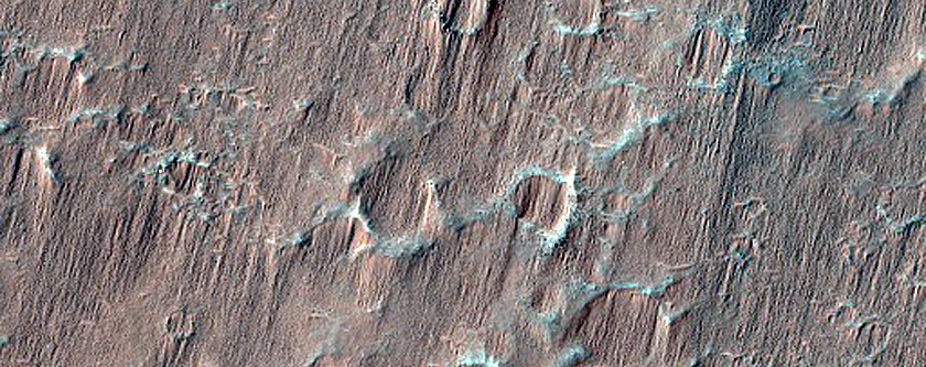 Barchan to Sand Sheet Transition in Central Herschel Crater