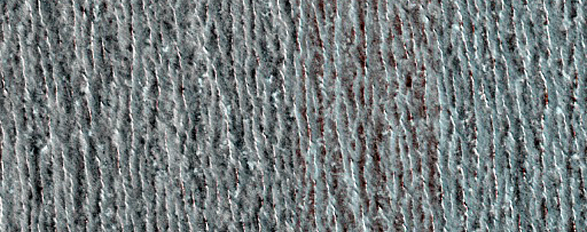 North Polar Residual Cap Monitoring