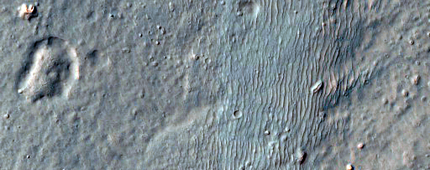 Frost Survey in South Facing Gullies