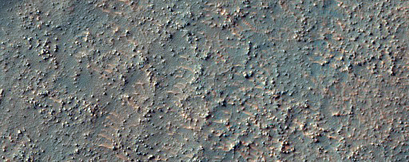 Dunes within Arkhangelsky Crater