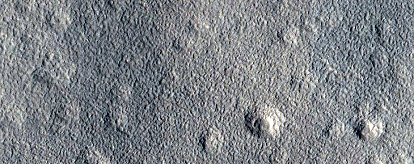 Northern Unit Contact