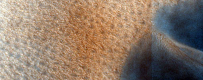 Dust-Raising Event and Streak Monitoring in North Polar Dune Field