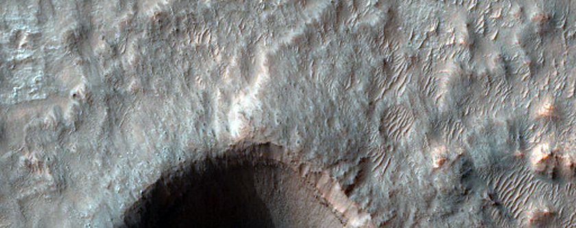Crater Wall with Potential Chloride-Rich Outcrop