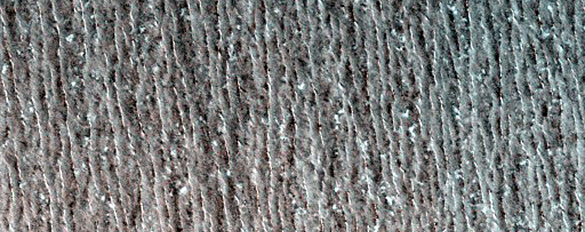 North Polar Residual Cap Monitoring