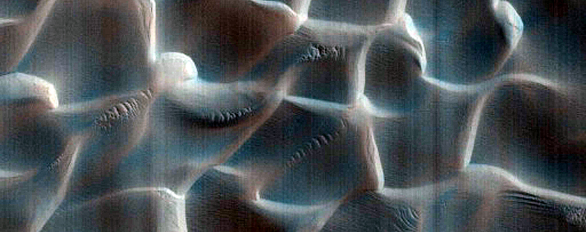 Olympia Cavi Reentrant Sand Source