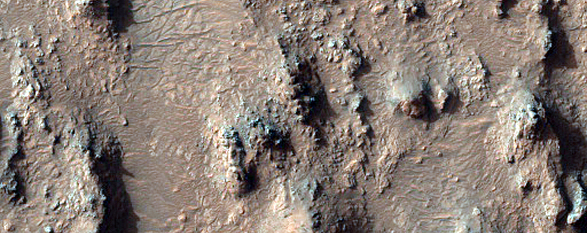 Bedrock on Crater Floor in Terra Tyrrhena