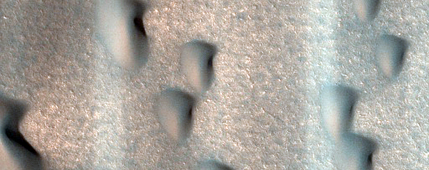 Dunes Dubbed Bolsa Chica