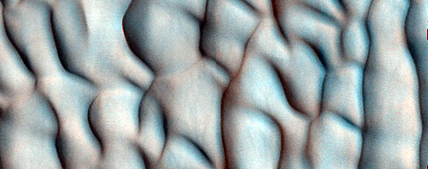 Dune Monitoring in Lomonosov Crater