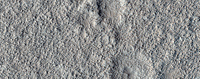 Dust Devil Monitoring in Amazonis Planitia
