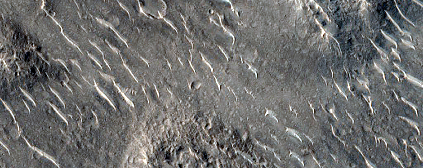 Terrain Sample in Isidis Planitia