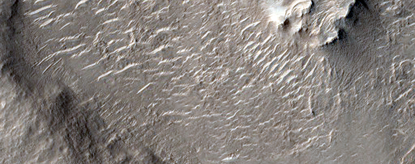 Terrain Sample in Amenthes Fossae
