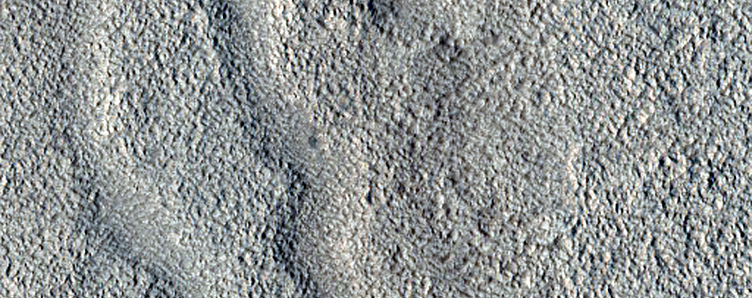 Branched Channels in Arabia Terra