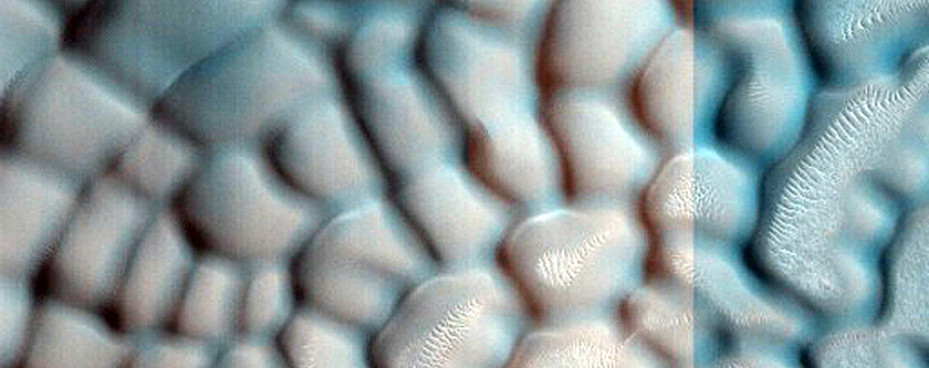 Dune Monitoring in Crater