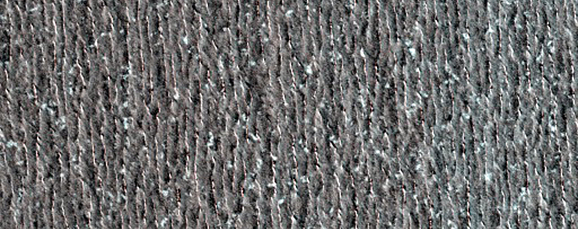 North Polar Residual Cap Monitoring Site