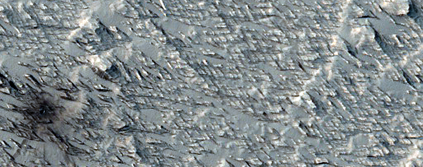 Candidate Recent Impact Site