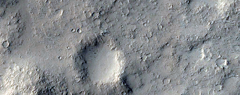 Lava Margin in Elysium Planitia