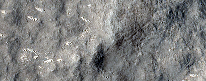 Terrain Sample