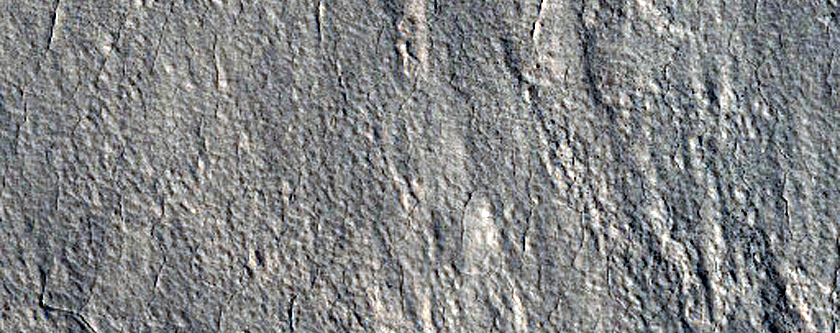 Scalloped Ejecta Margin