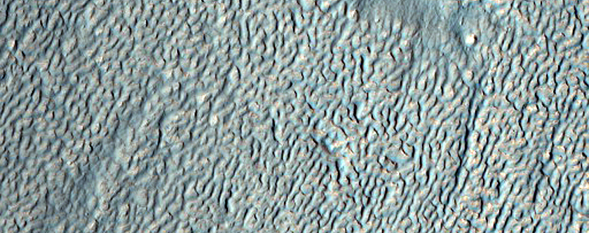 Surface Features of Debris Apron in Deuteronilus Mensae