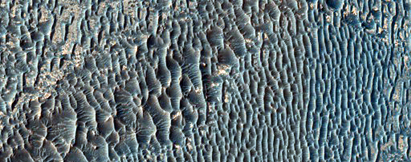 Terrain Sample