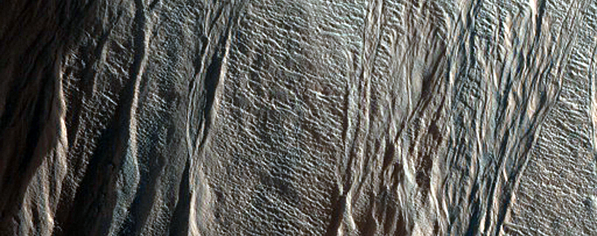 Northern Gullies on Mesa