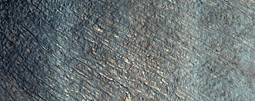 Potential New Bright Gully Deposits