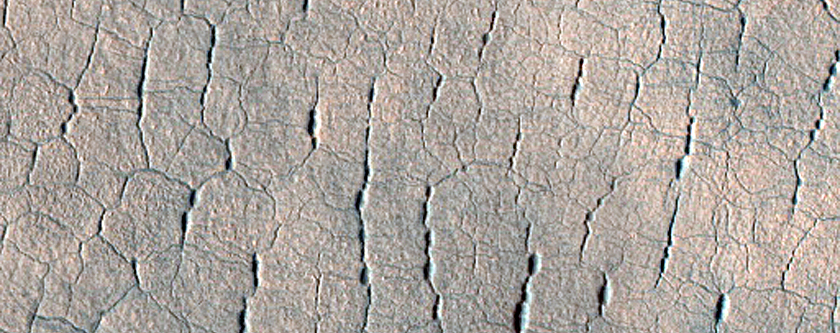 Utopia Planitia Terrain Sample