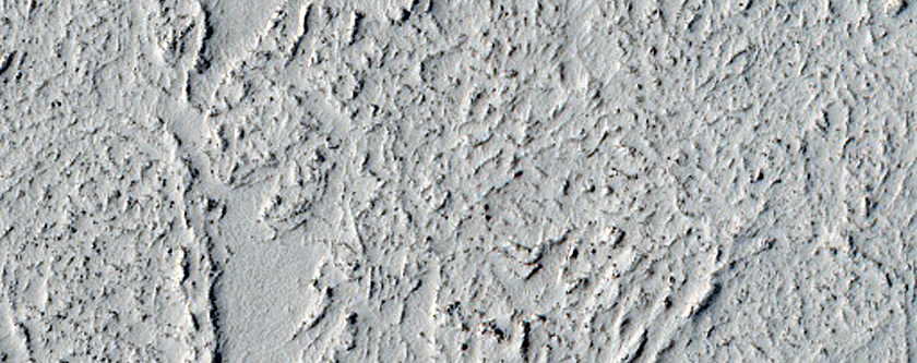 Terrain Sample